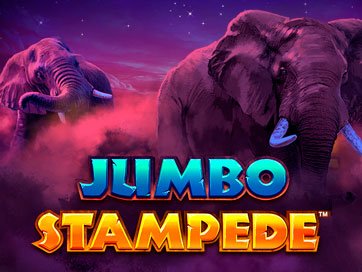 Jumbo Stampede